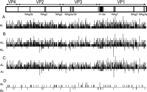 FIG. 2.