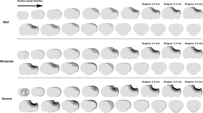 FIG. 10.