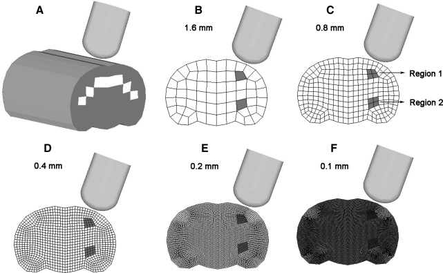 FIG. 2.