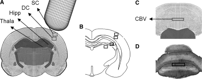 FIG. 4.