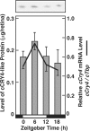 FIGURE 1.