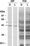 FIGURE 10.