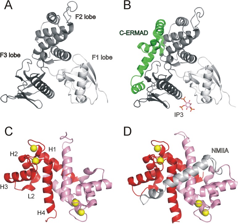 Fig 1