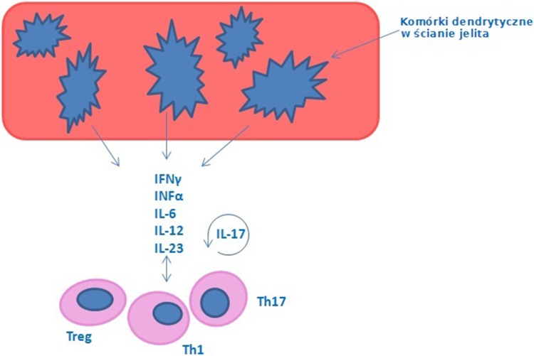 Fig. 3