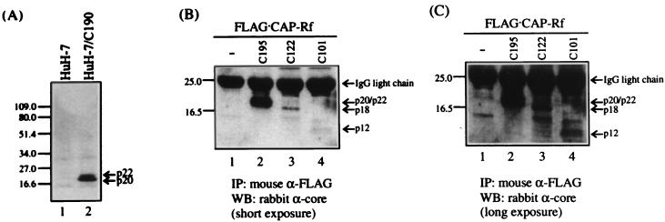 FIG. 6