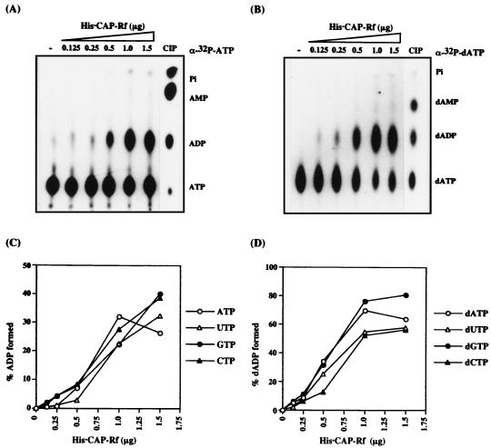 FIG. 7