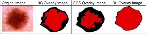 Fig. 5.