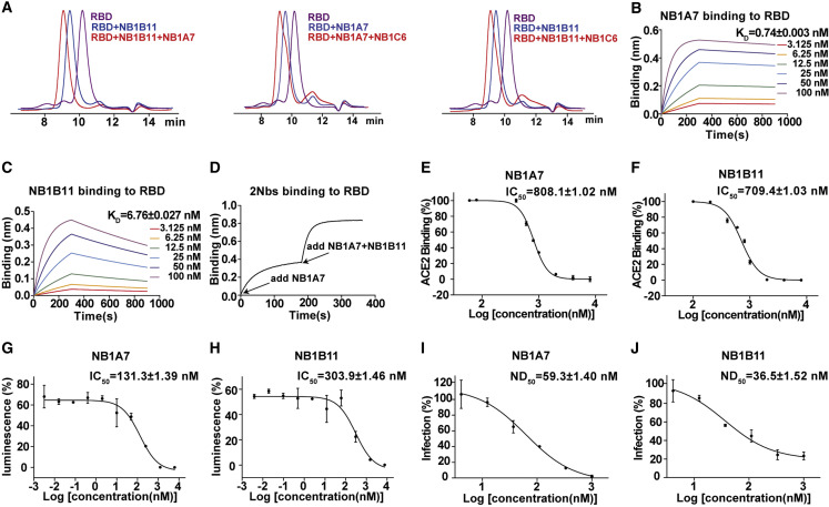 Figure 1