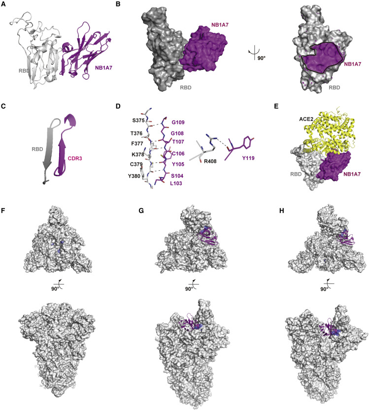 Figure 2