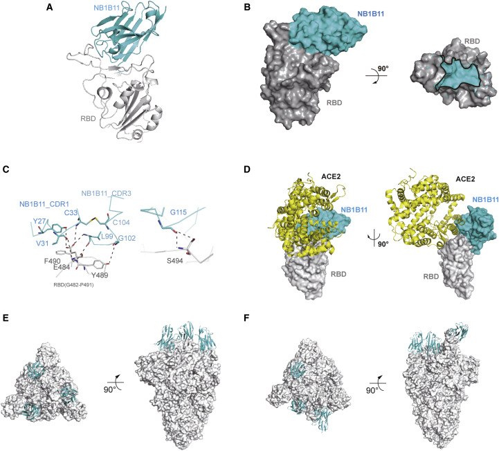 Figure 4