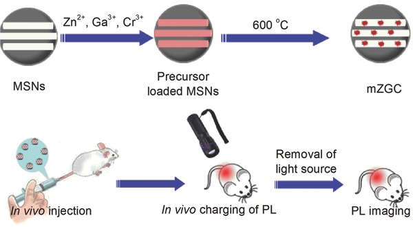 Scheme 1