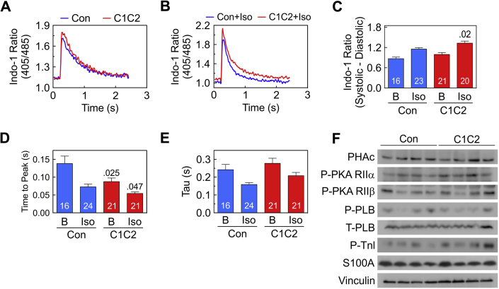 Figure 4