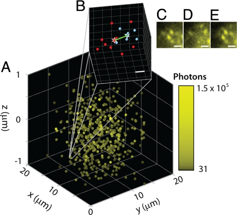 Fig. 4.