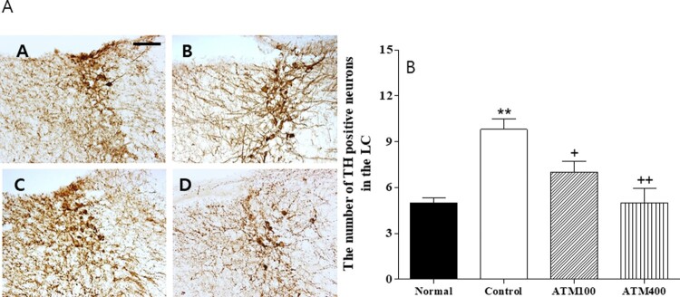 Figure 5.