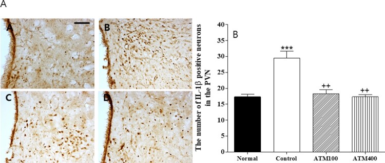 Figure 6.