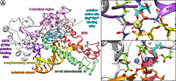 Figure 1