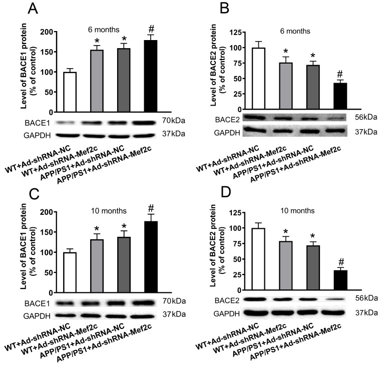 
Figure6
