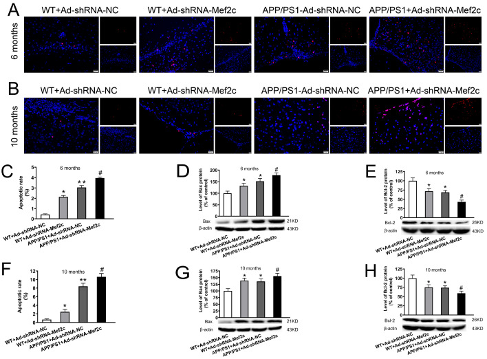 
Figure4
