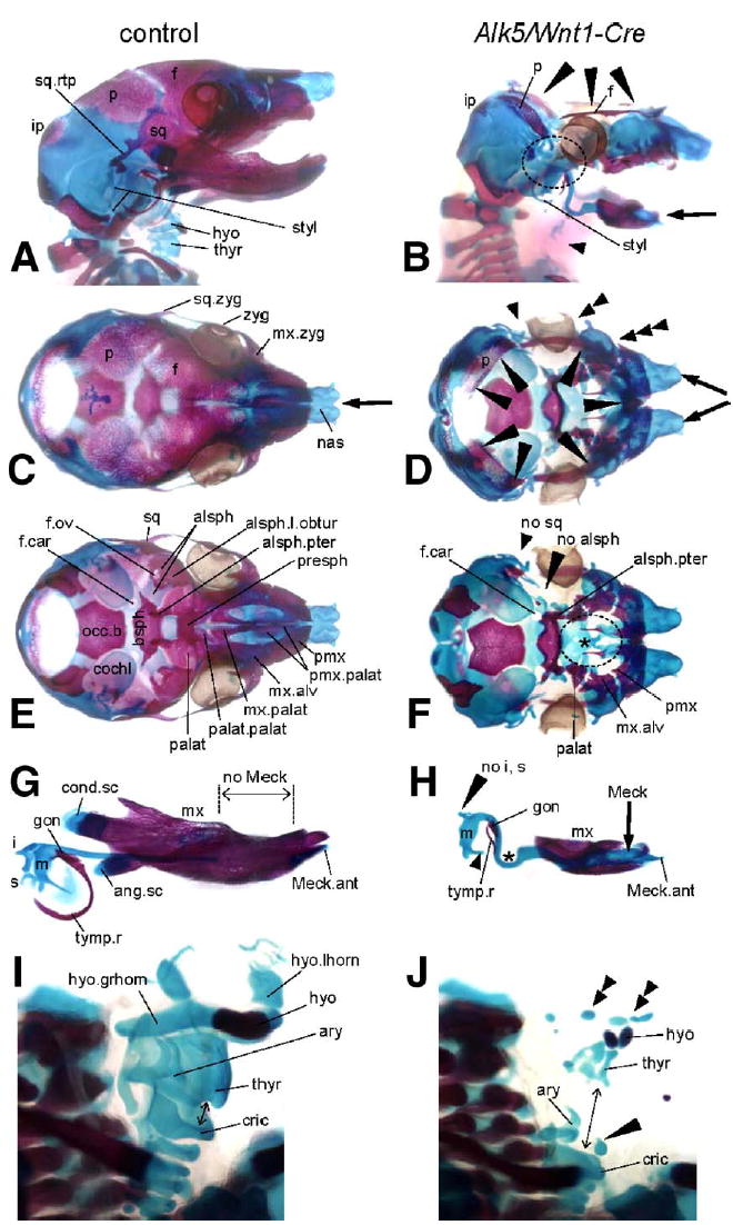 Fig. 5