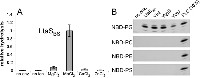 Fig. 3