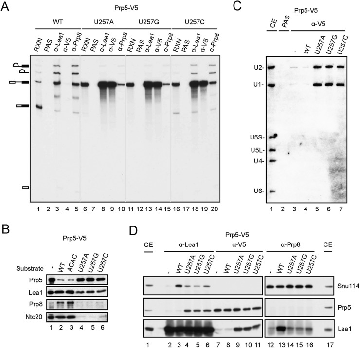 Figure 4.