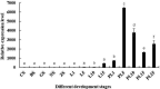 Figure 5