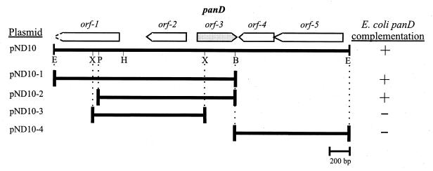 FIG. 1