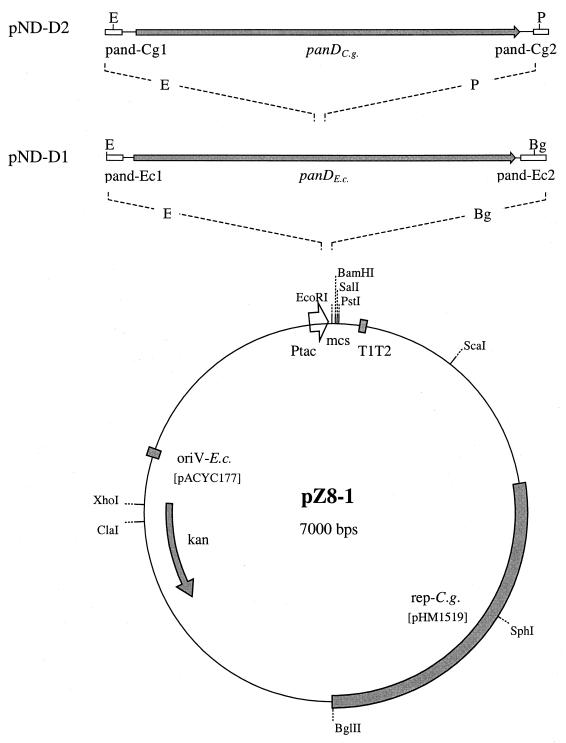 FIG. 4