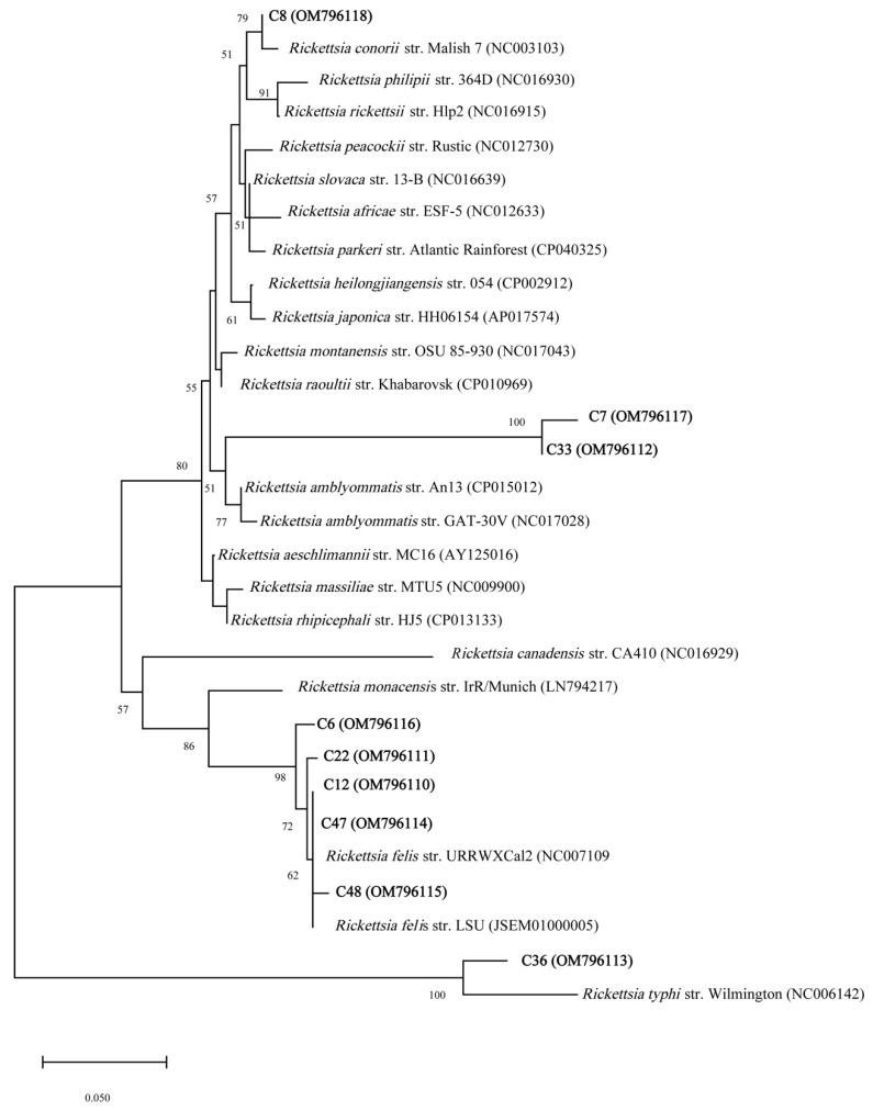 Figure 2