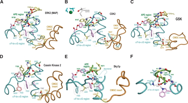 Figure 6.