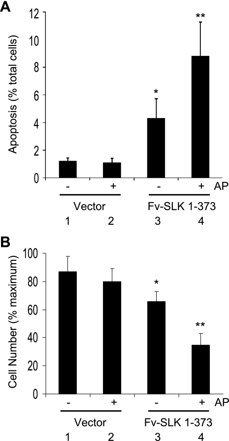 Fig. 8.