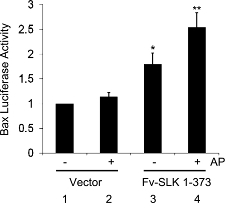 Fig. 9.