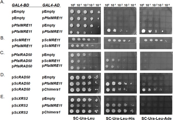 Fig 6