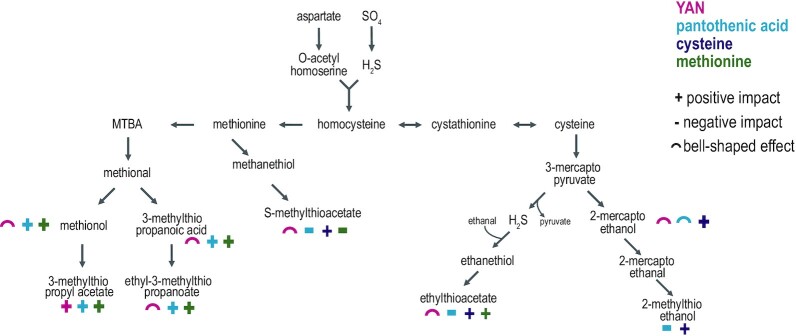 Figure 6.