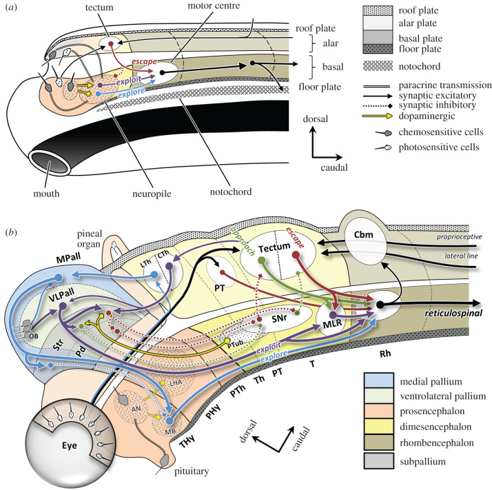 Figure 3. 