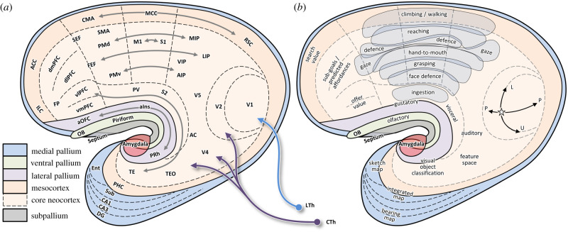 Figure 7. 