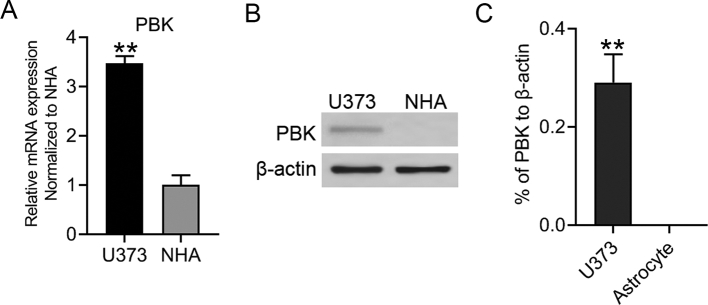 Figure S1