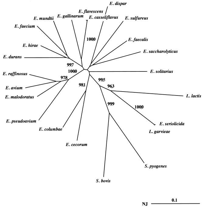 FIG. 1