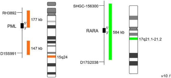 Fig. 4