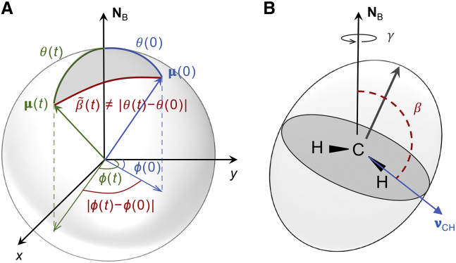 Figure 8