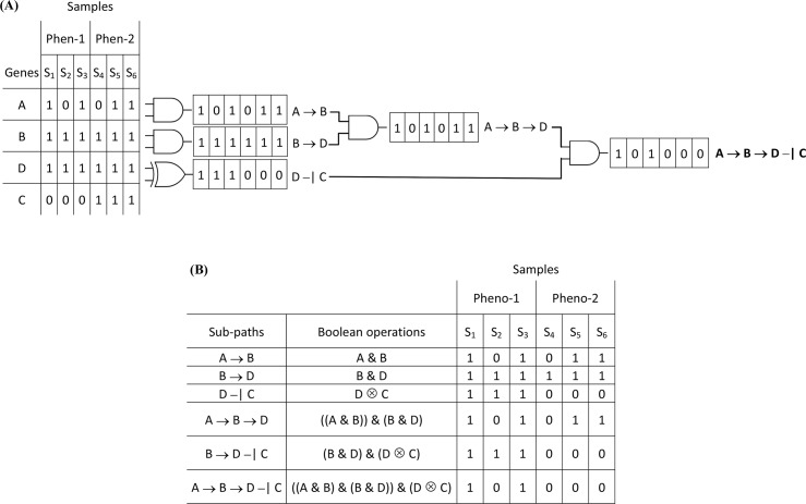 Fig 11