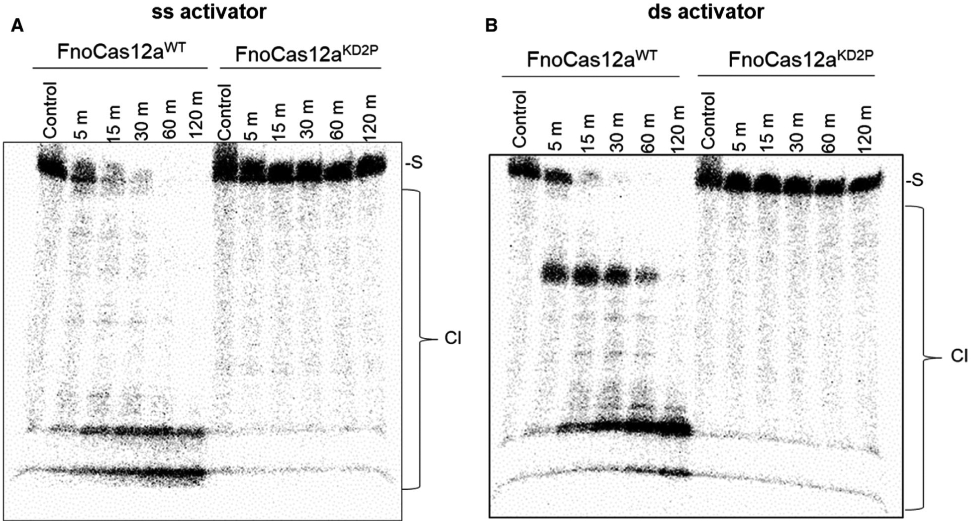 Fig. 9.