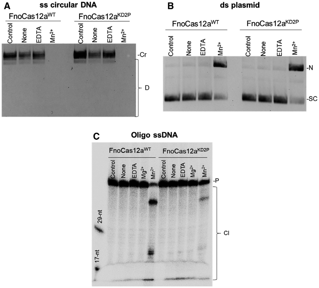 Fig. 10.