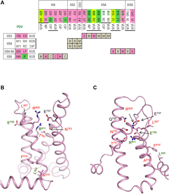 FIGURE 6