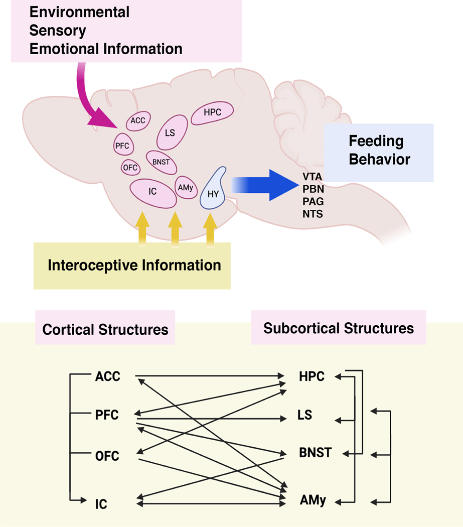 Fig 2.