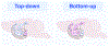 Fig 1.