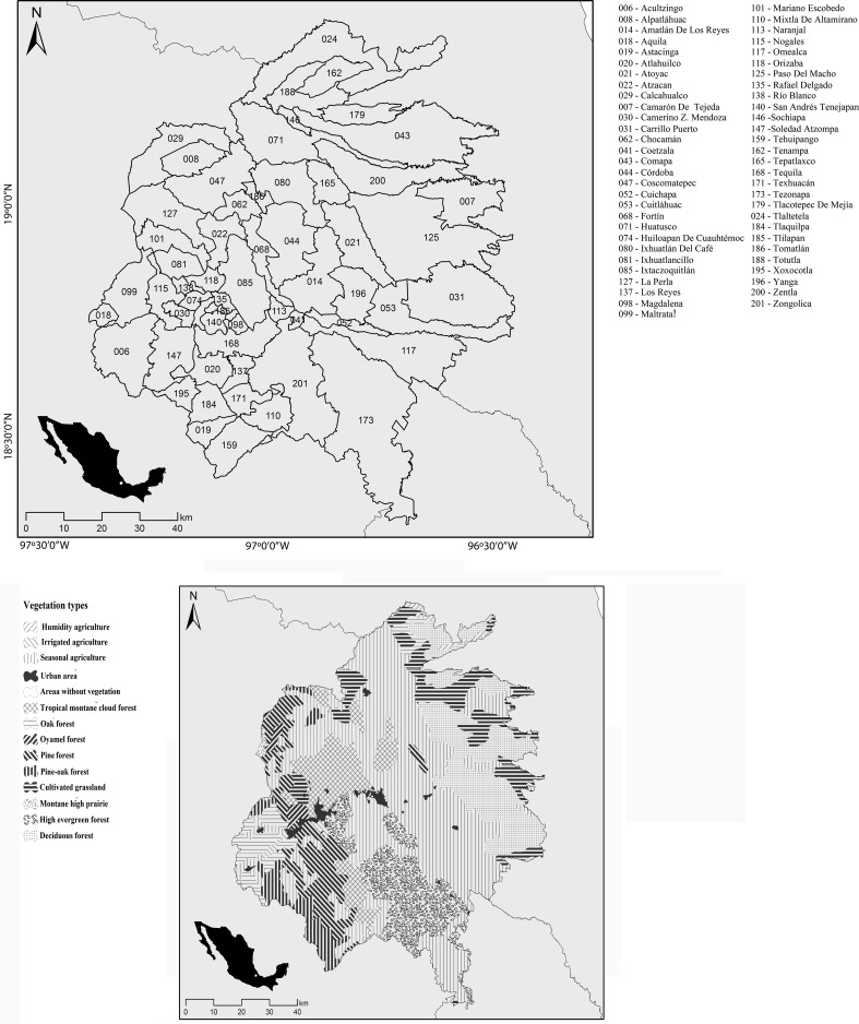 Fig. 1