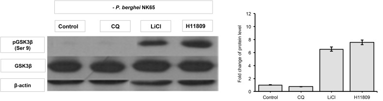 Figure 3: