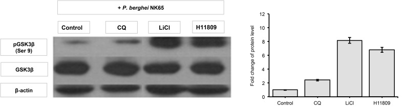 Figure 2: