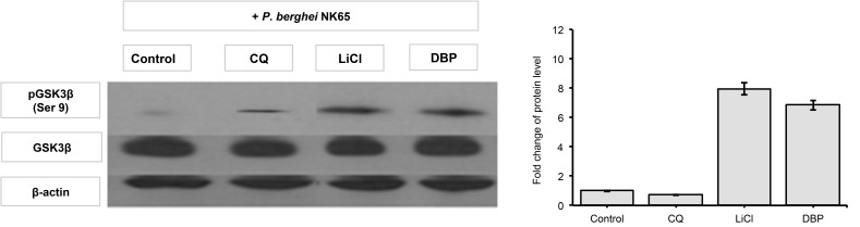 Figure 6: